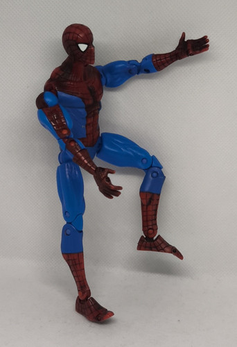 The amazing spider - the, web