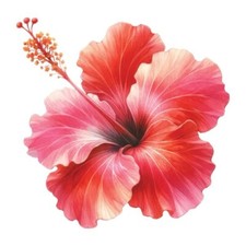 9X9 cm Blume Wandtattoo