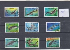 Meerestiere Säugetiere ( 135 ) Haie Wal Delfin Delphin