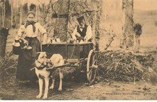 Belgien AF#DC796 Hundetransportwagen Für Milchkanister