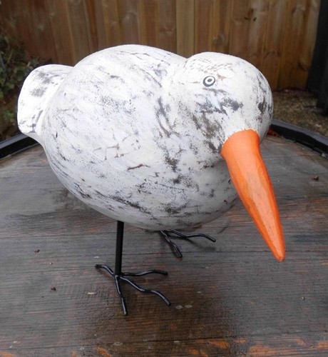 Neugierige dicke möwe - neugierige,,