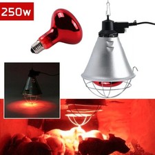 Wärmelampe für Tieraufzucht inkl. 250W Infrarotlampe & Schutzkorb Wärmestrahler.
