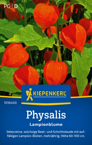 Kiepenkerl physalissamen - kiepenkerl,