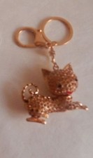 süsser goldener Katze