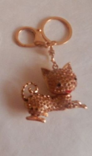 Süsser goldener katze - goldener,