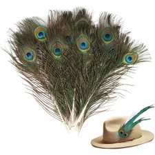Pfauenfedern 20 Stück