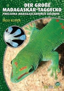 Der große madagaskar - der,