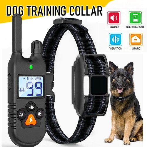 1000m elektroschock hunde - elektroschock,