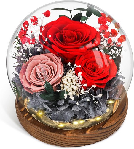 Ewige rose glas infinity - glas,