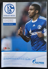 BL 2008/2009 FC Schalke 04 -