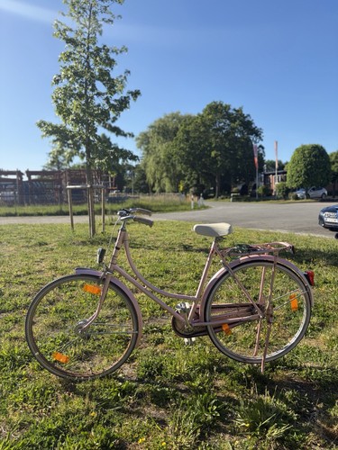Damen fahrrad zoll mit - 28,