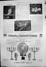 Alter antiker Druck Spatz Falkennest Stahlfalle Schmiede Silberschmiede 1910 20.