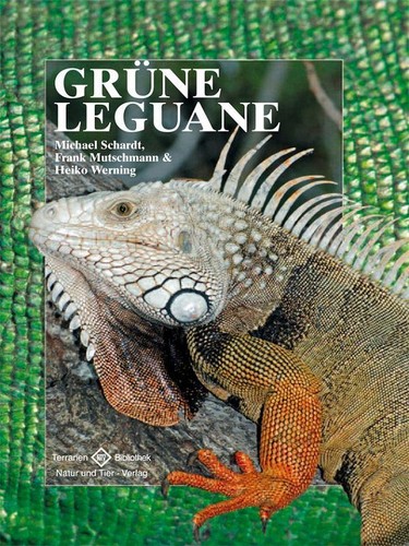 Michael schardt grüne - grüne, leguane