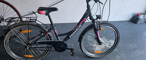 Pegasus trekkingrad - pegasus,