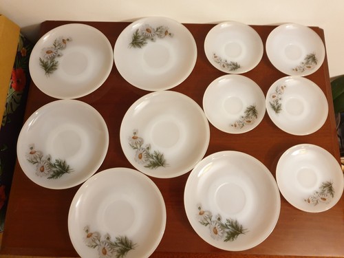 Platos y 5 - platos, (6