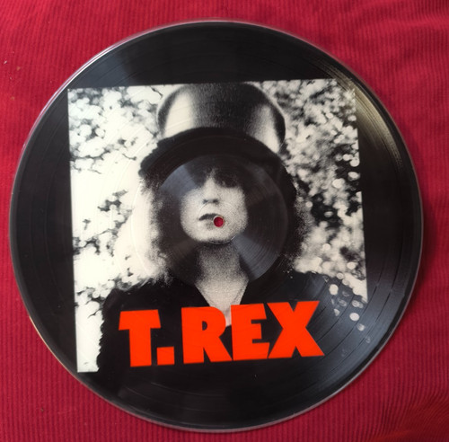 Rex the slider picture lp - picture,