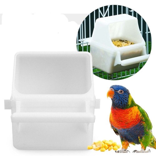 Stück vogel papageien - stück,