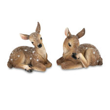 Rehkitz liegend Winterzeit