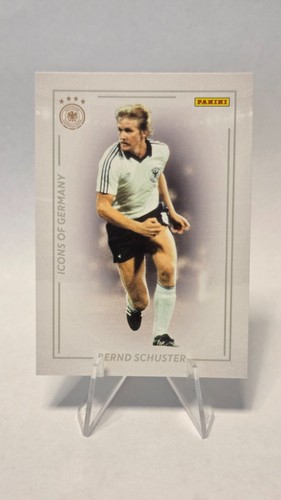 Panini dfb team set 2024 - dfb, icons