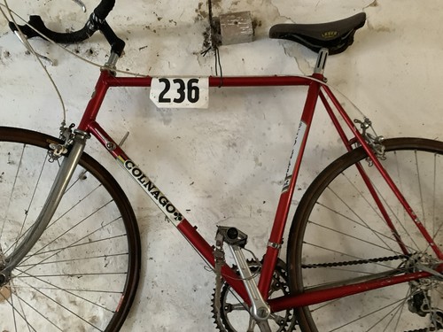 Colnago vintage rennrad sport - colnago,