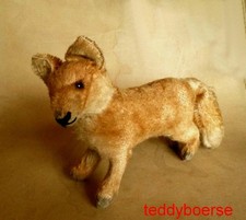 alter STEIFF Fuchs, drehbarer Kopf •  ohne  Knopf  • 14 cm •  selten