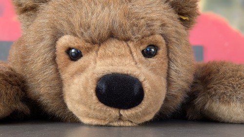 Original steiff urs 070068 - steiff,
