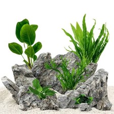 Pflanzen Set mit 5 Einsteiger