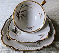 Schwarzenhammer Porzellan