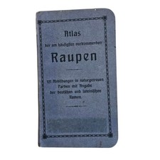 Atlas der Raupen 121