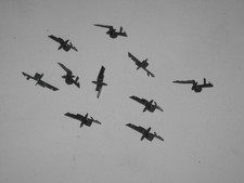 Hakenkupplungen lang (Bügel