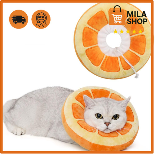 Halskragen katze leckschutz - halskragen,