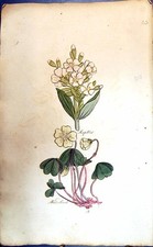 Original alter antiker Druck