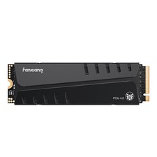 Fanxiang M.2 SSD 2TB NVMe PS5 SSD Heat Sink PCIe 4.0 Interne Festplatte 7300MB/S