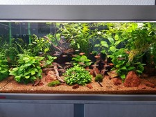 Aquarium Komplett mit