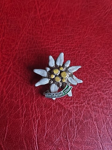 Alte anstecknadel souvenir - ,