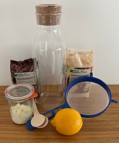 Starterset kefir mit - kefir,