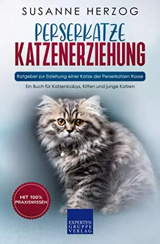 Perserkatze katzenerziehung - perserkatze,