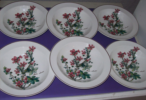 Villeroy boch botanica malva - &,