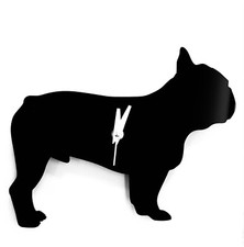 Französische Bulldoge Hund