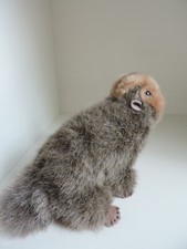 Steiff, Murmeltier,Manni,cosy