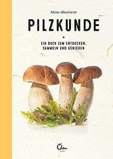 Meine illustrierte pilzkunde - illustrierte,