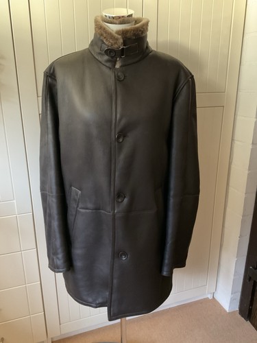 Moriano herren merino - moriano,