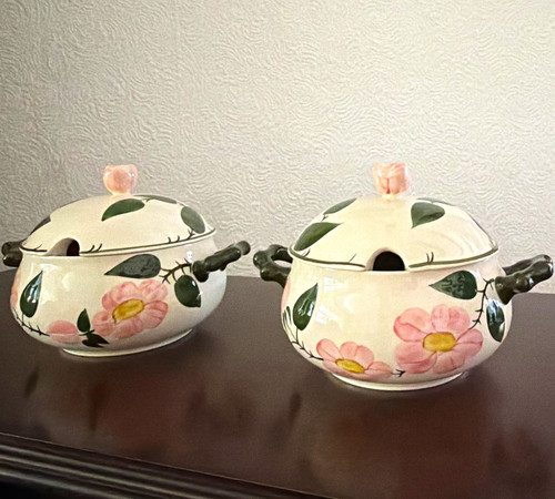 Villeroy boch wild - villeroy, 2x