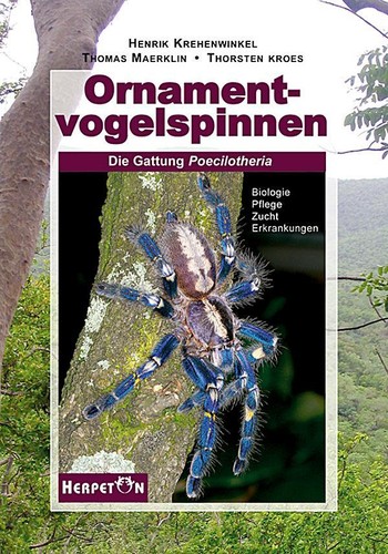 Ornamentvogelspinnen henrik - ornamentvogelspinnen,