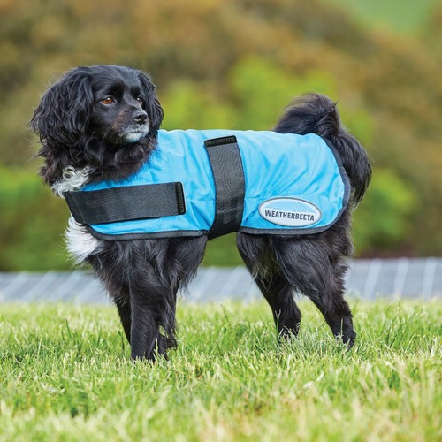 Weatherbeeta therapy tec - weatherbeeta, therapy-tec