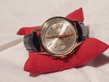 Sehr gepfl. verg. HEMA