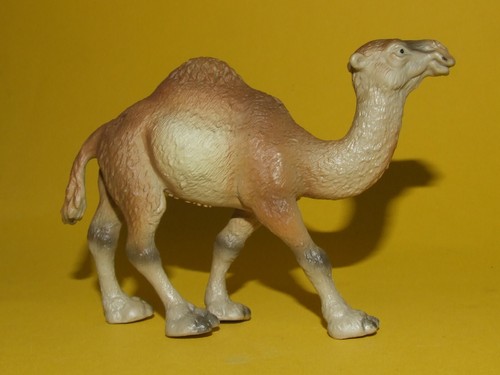Schleich wildlife kamel - 6),