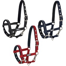 Fohlenhalfter Halfter