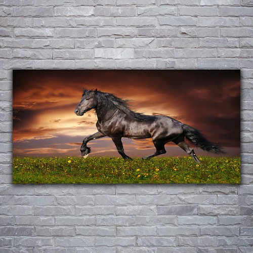 Leinwand bilder wandbild - leinwand-bilder,