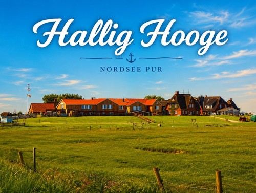 Kühlschrankmagnet hallig - kühlschrankmagnet,